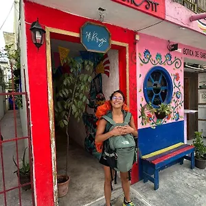 Guest house Mi Refugio Dive House, Cozumel