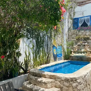 Guest house Caribo, Cozumel