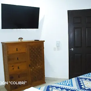 Departamentos Ileana Cozumel
